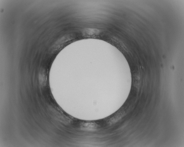 X0000083010324200702231819