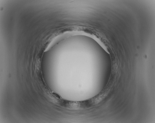 X0000083010325200702231819