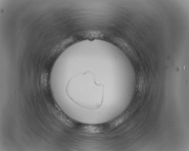 X0000083010326200702231819