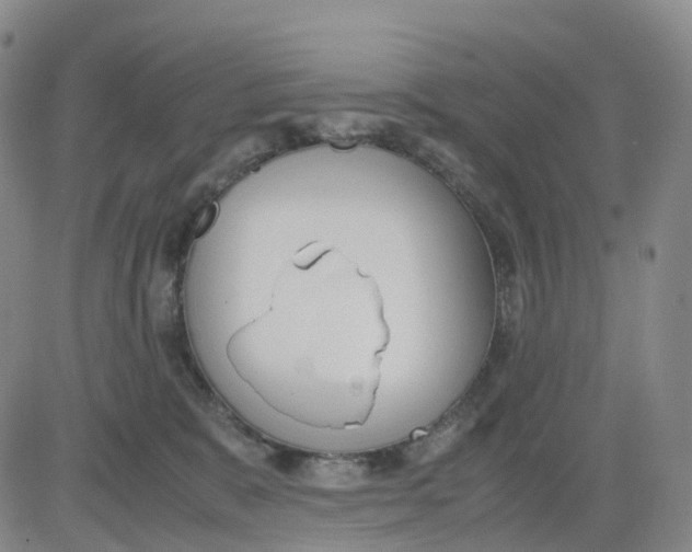 X0000083010327200702231819