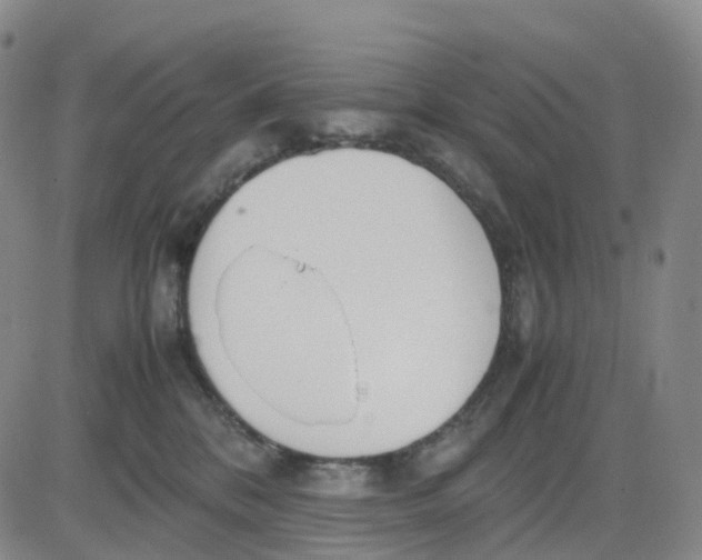 X0000083010328200702231819