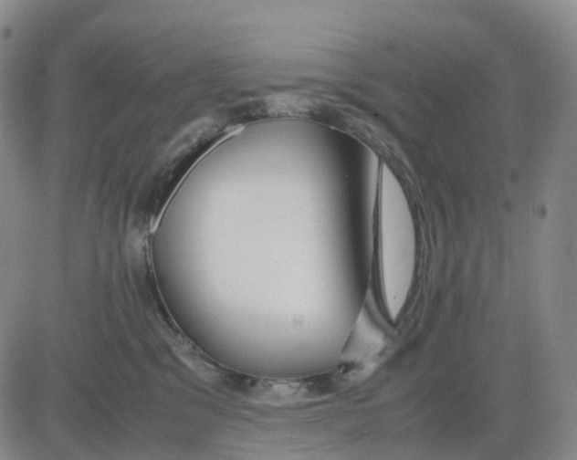 X0000083010329200702231819