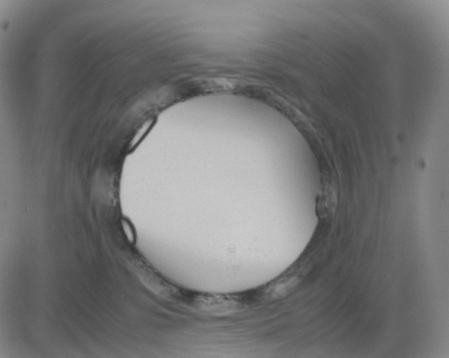 X0000083010331200702231819