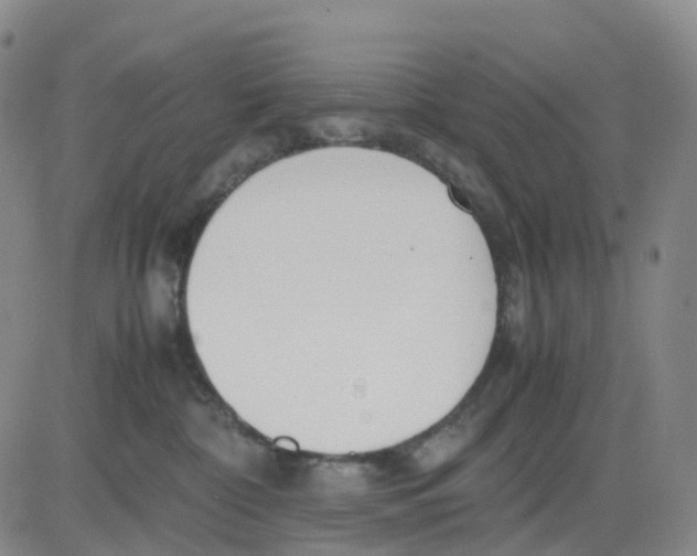 X0000083010332200702231819