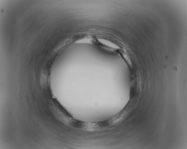 X0000083010333200702231819