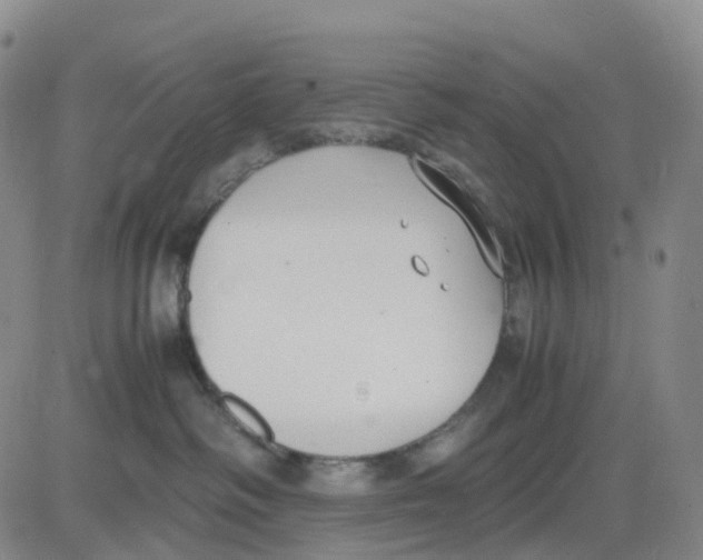 X0000083010334200702231819