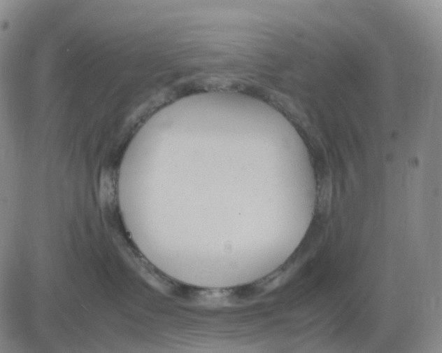 X0000083010335200702231818