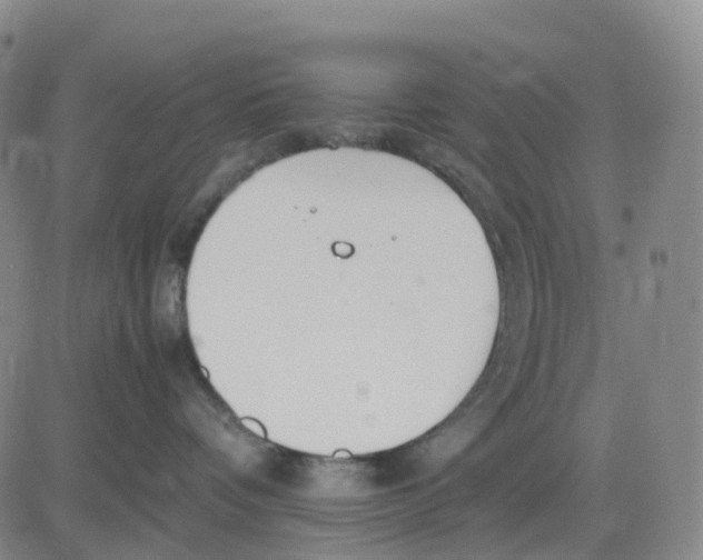 X0000083010336200702231818