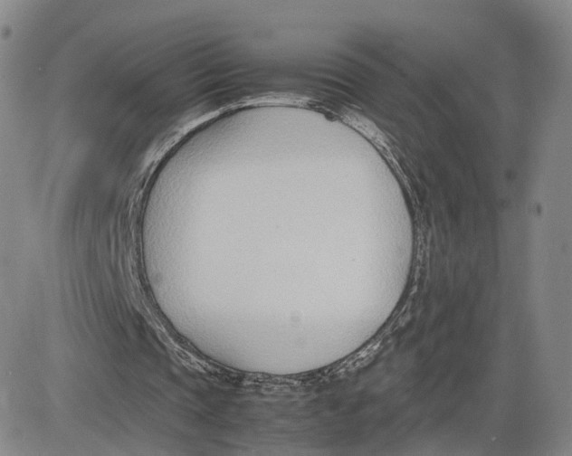 X0000083010337200702231818