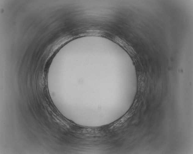 X0000083010338200702231818