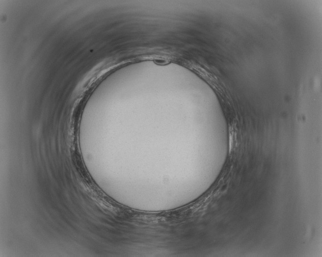 X0000083010339200702231818