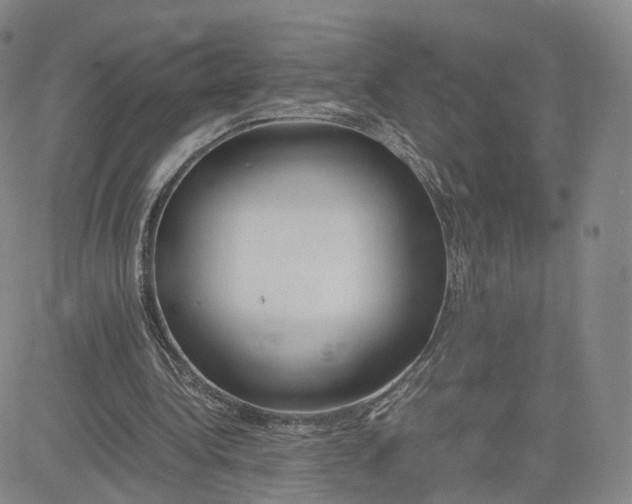 X0000083010340200702231818