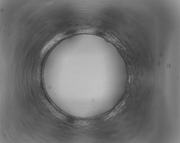 X0000083010341200702231818