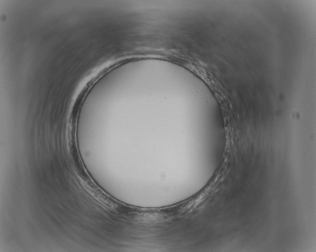 X0000083010342200702231818