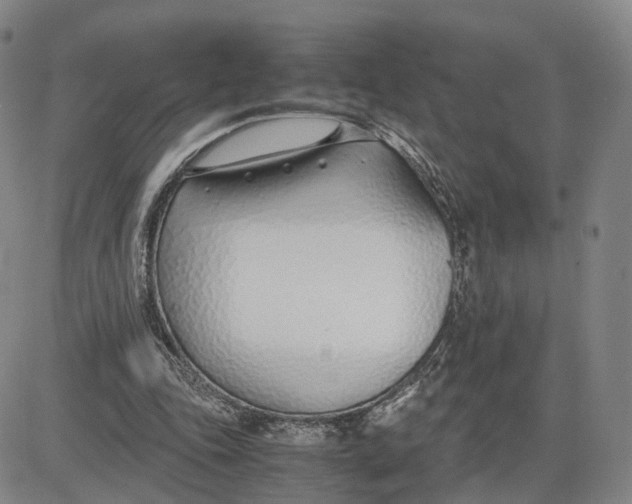 X0000083010343200702231818