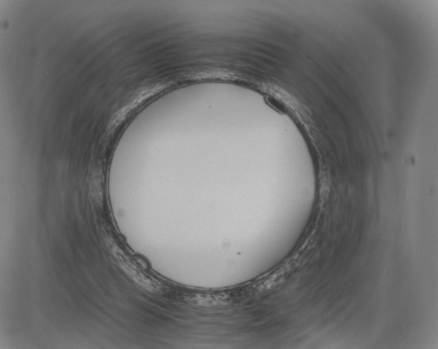 X0000083010345200702231818