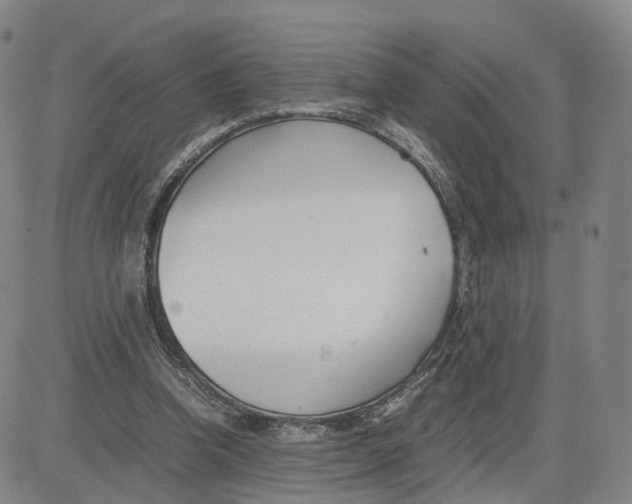 X0000083010346200702231818