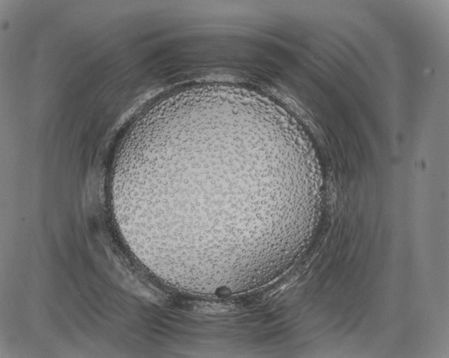 X0000083010347200702231818