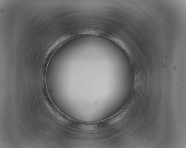 X0000083010349200702231818