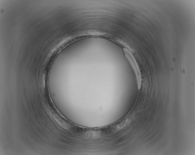 X0000083010350200702231818