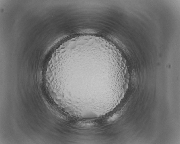 X0000083010351200702231818