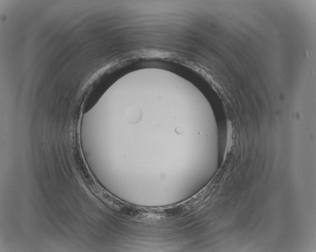 X0000083010352200702231818