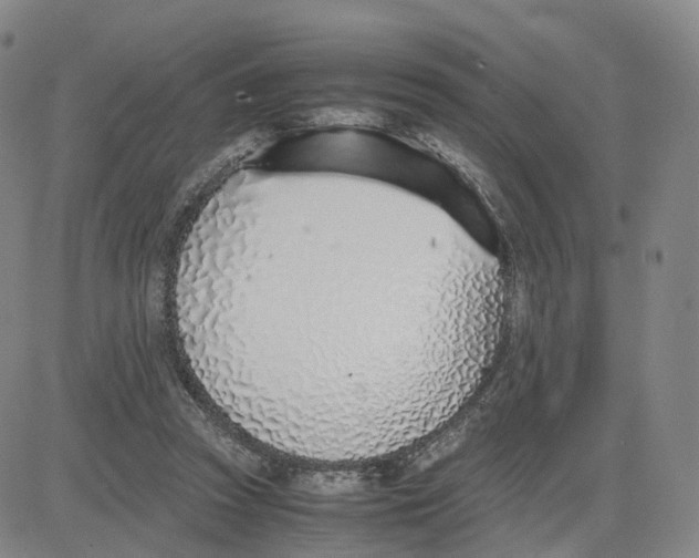 X0000083010353200702231818