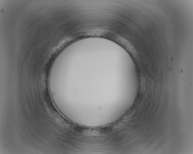 X0000083010354200702231818