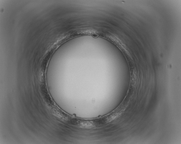 X0000083010355200702231818