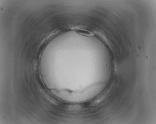 X0000083010357200702231818