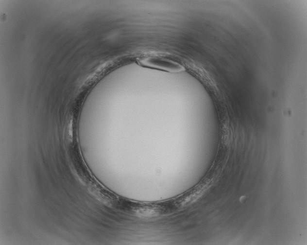 X0000083010358200702231818