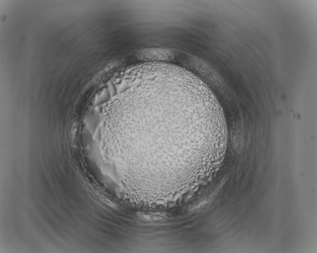 X0000083010359200702231818