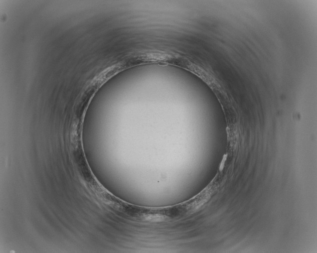 X0000083010360200702231818