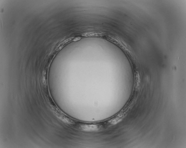 X0000083010361200702231818