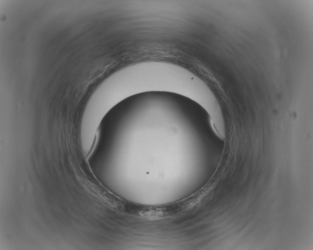 X0000083010362200702231818