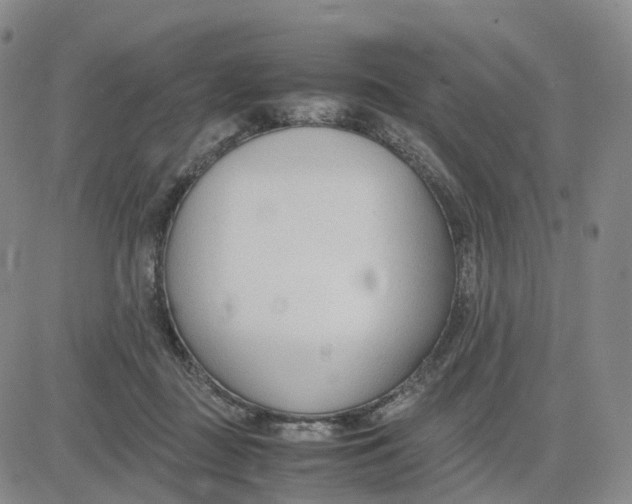 X0000083010363200702231818