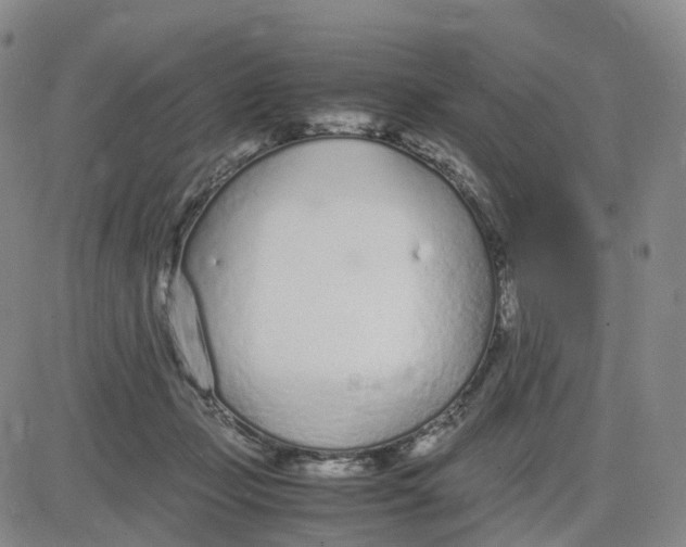 X0000083010365200702231818