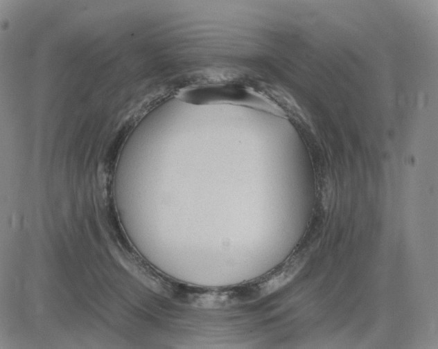 X0000083010366200702231818