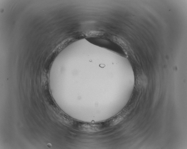 X0000083010367200702231818