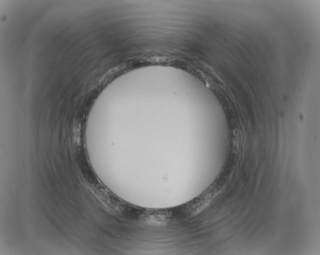 X0000083010368200702231818