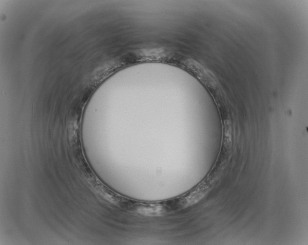 X0000083010369200702231818