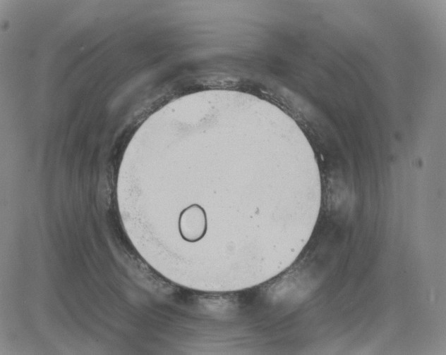 X0000083010370200702231818