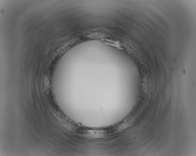 X0000083010371200702231818