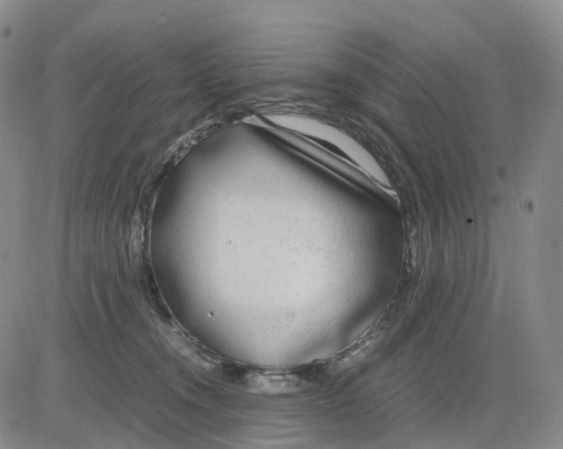 X0000083010372200702231818