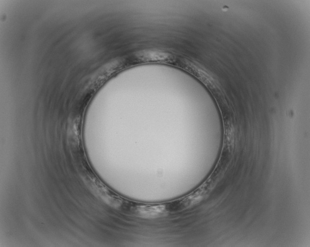 X0000083010373200702231818