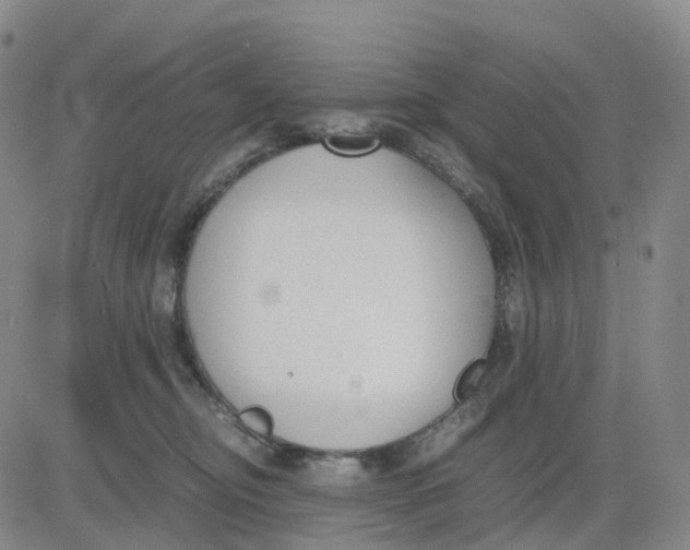 X0000083010374200702231818