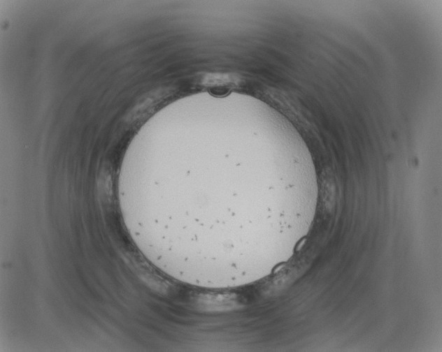 X0000083010375200702231818