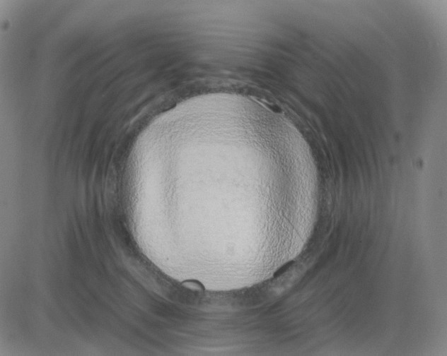 X0000083010376200702231818