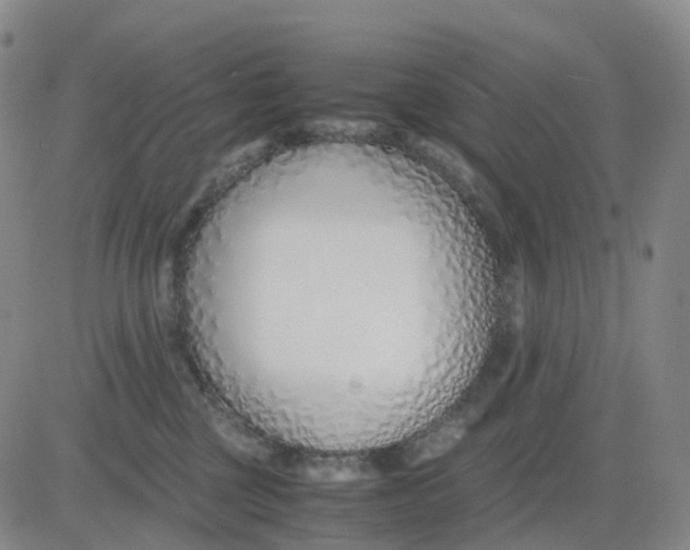 X0000083010377200702231818