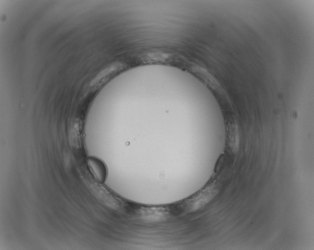 X0000083010378200702231818